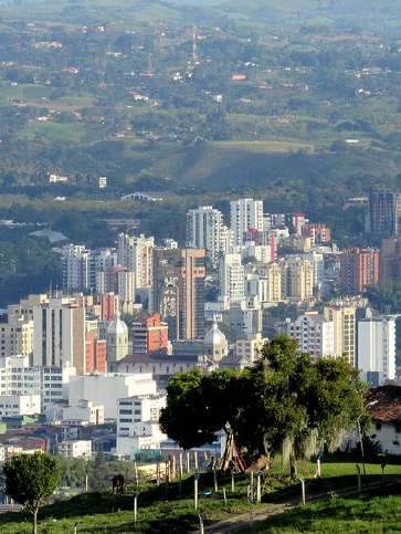 Pereira — Pollo Shares